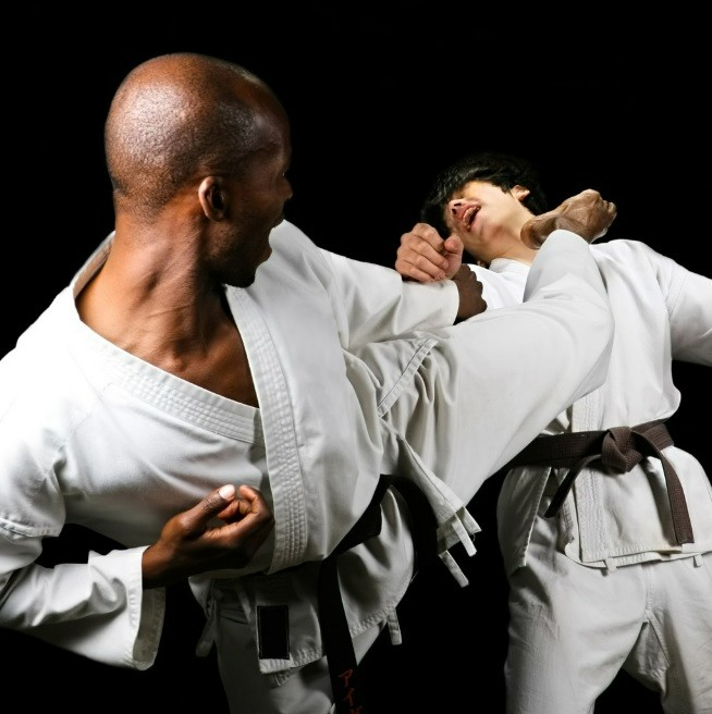 One Strike, Certain Victory — 一撃必殺 Karate Spirit