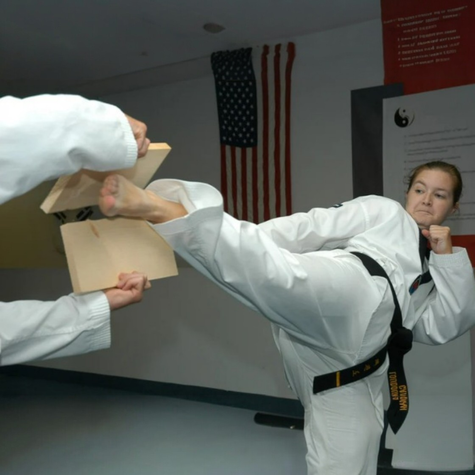 One Strike, Certain Victory — 一撃必殺 Karate Spirit